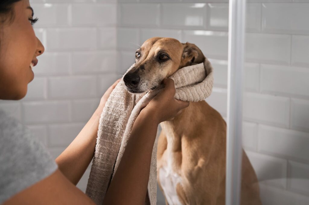Guida per fare il bagnetto ai cani