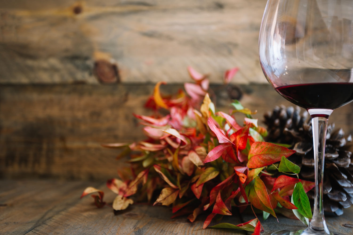 i migliori vini autunnali