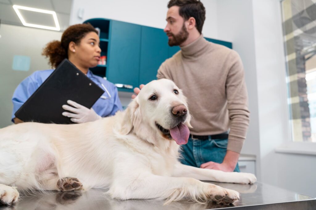 cane dal veterinario