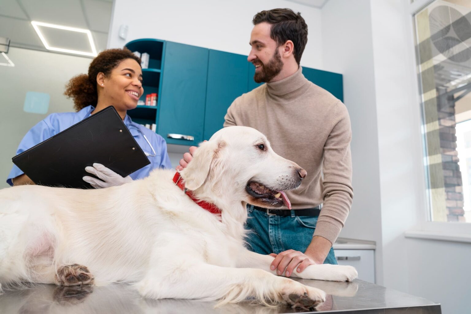 proprietario di cane e veterinario parlano