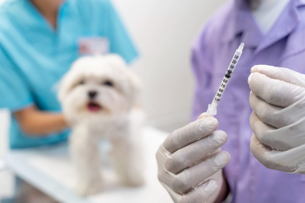 veterinario con siringa