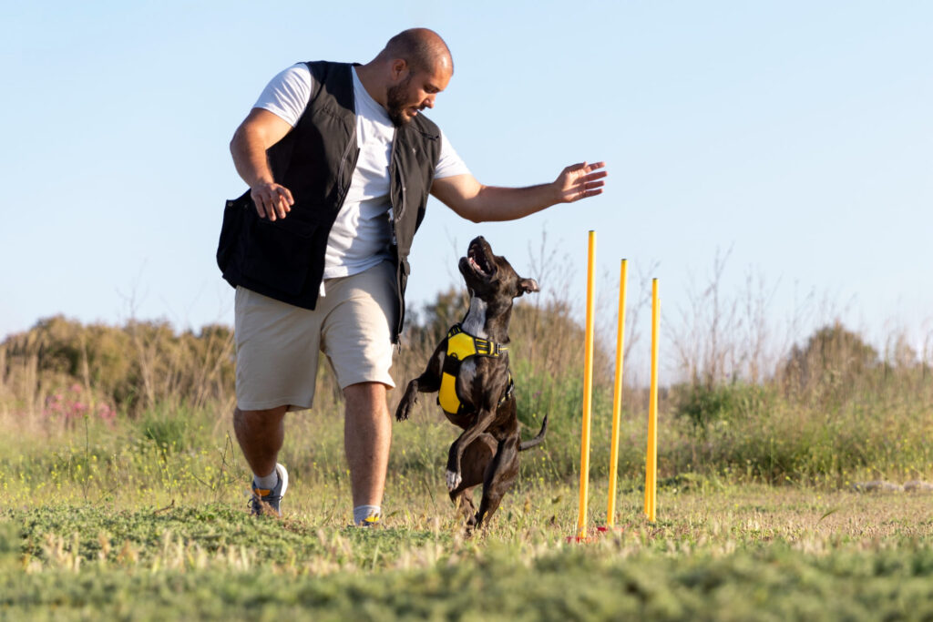 cane fa esercizi con addestratore