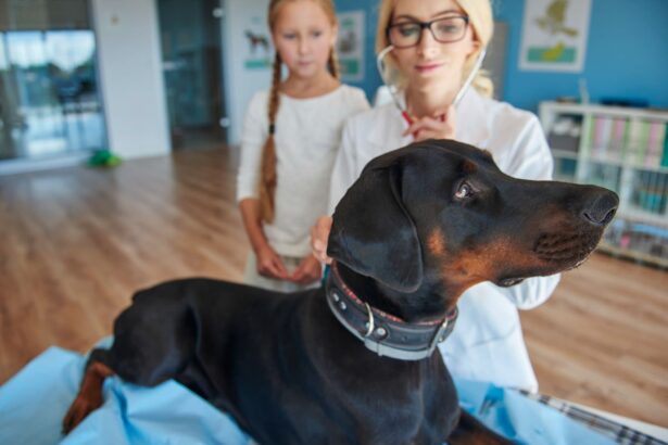 cane dal veterinario con bambina