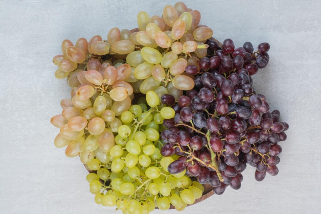 grappoli d'uva bianca e rossa raccolti