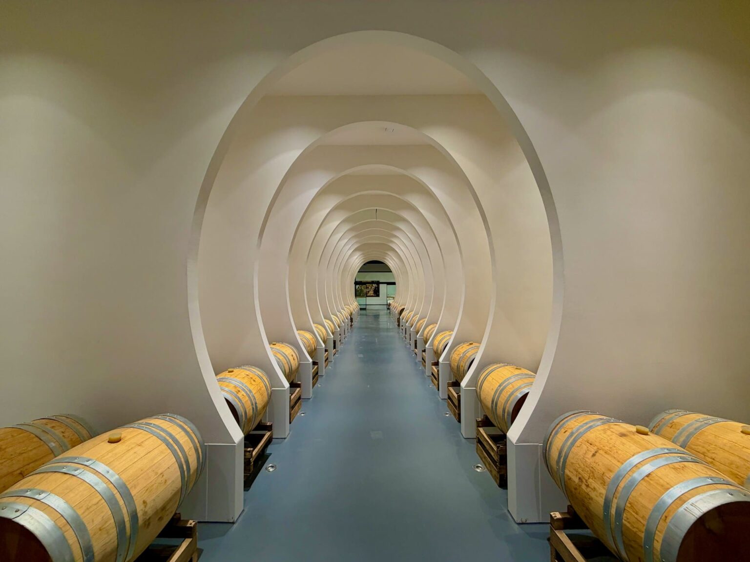 fermentazione vino in botti