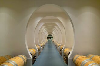 fermentazione vino in botti