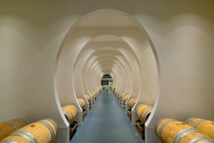 fermentazione vino in botti