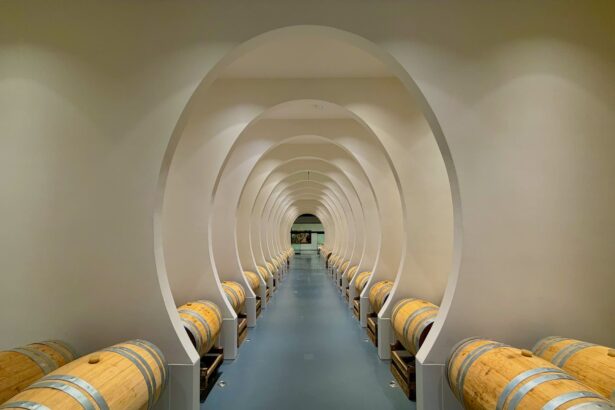 fermentazione vino in botti