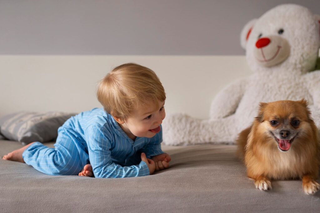 bambino piccolo gioca con cane