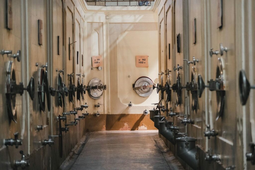 fermentazione vino in cantina